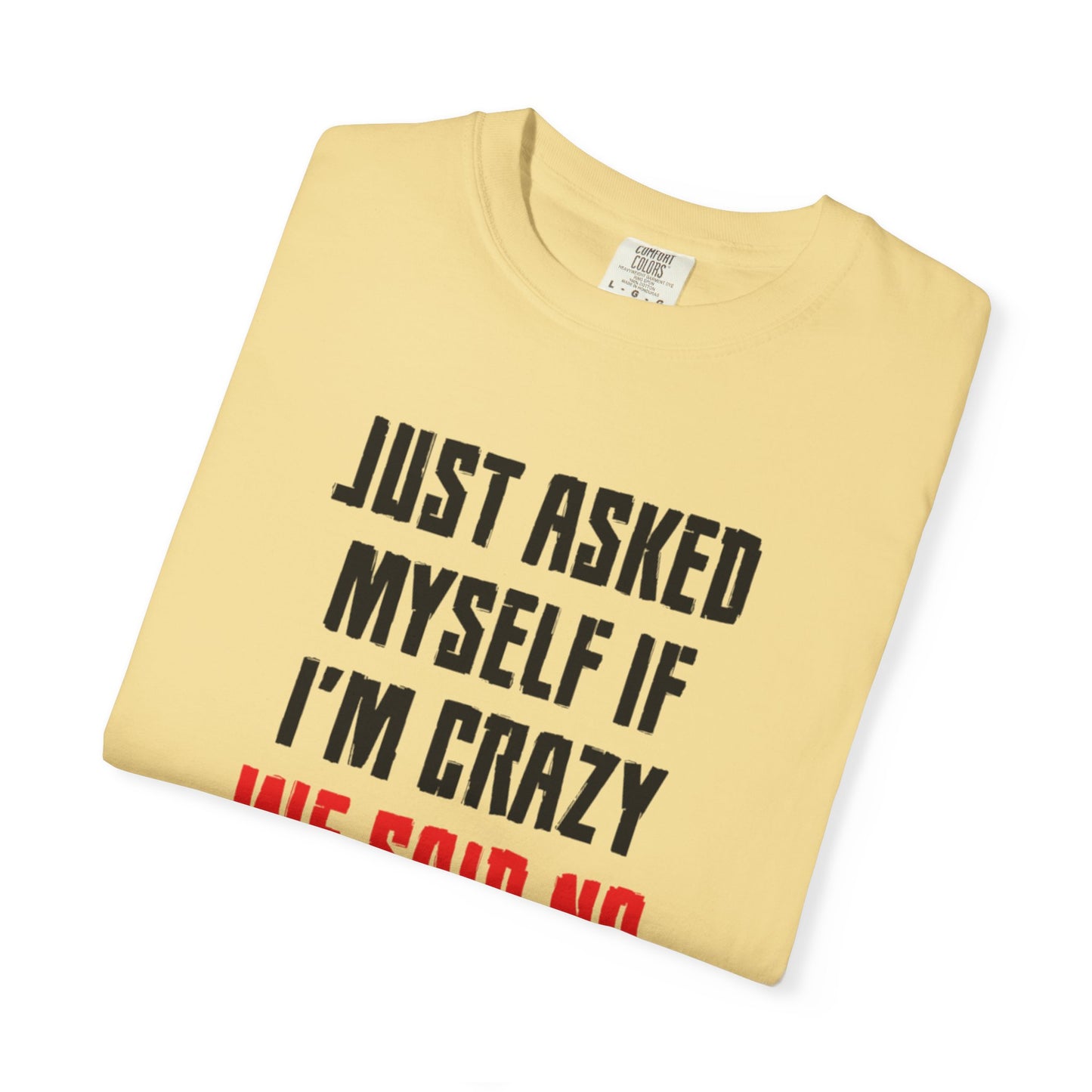 Just Asked Myself If I’M Crazy We Said No Funny Tee Self-Doubt Humourous Mental Stability Sarcastic Unisex Heavy Cotton T-Shirt