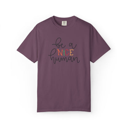 Be A Nice Human Positivity Optimism Happiness Tee Mindset Gratitude Empathy Unisex Heavy Cotton T-Shirt