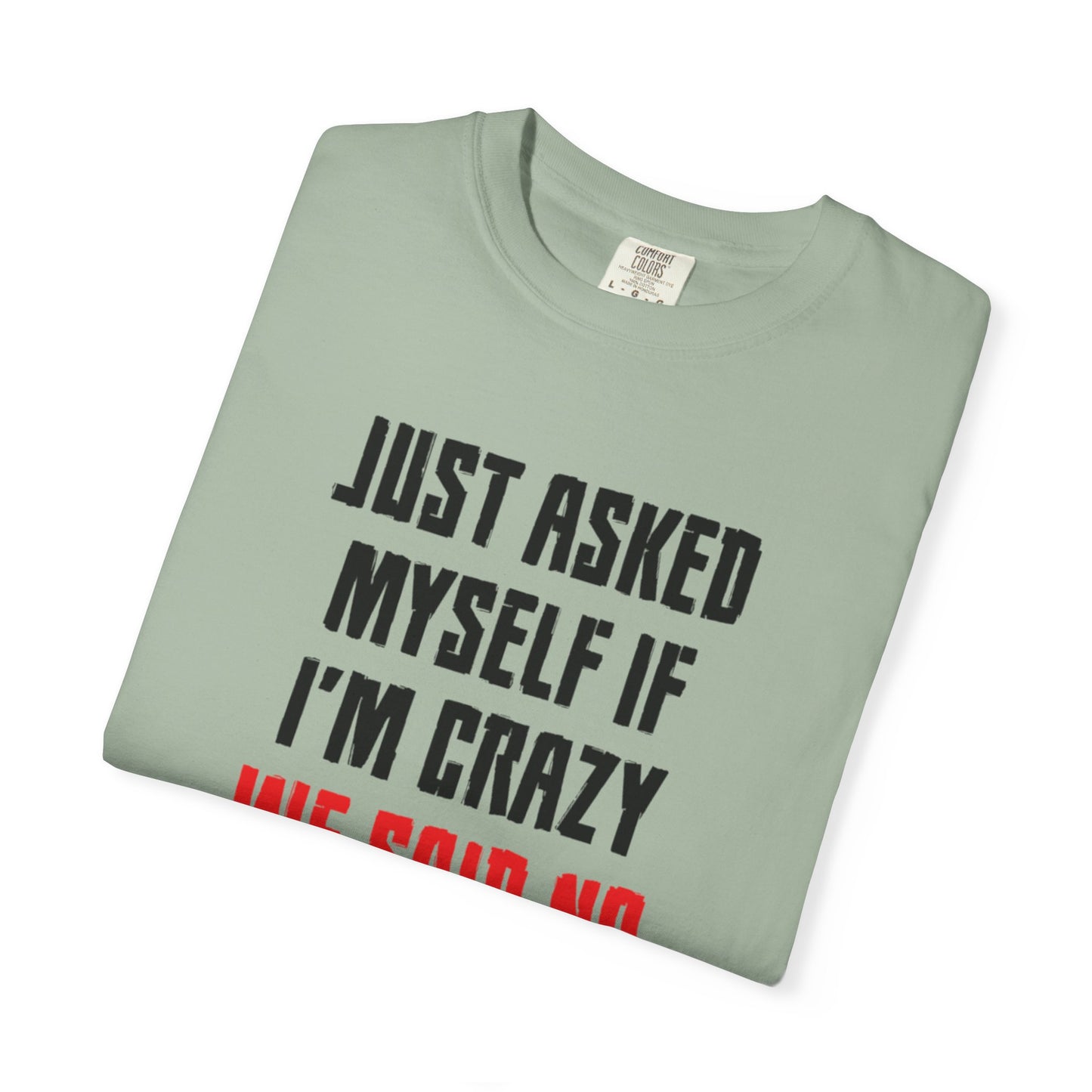 Just Asked Myself If I’M Crazy We Said No Funny Tee Self-Doubt Humourous Mental Stability Sarcastic Unisex Heavy Cotton T-Shirt