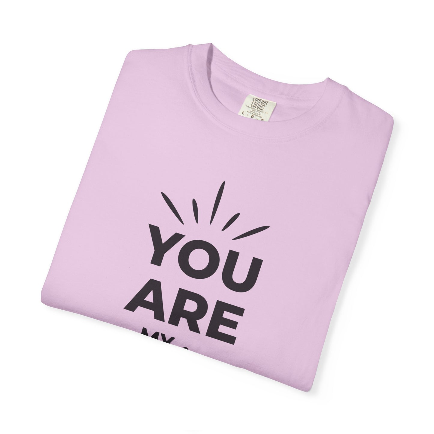 You Are My Sunshine Lovers Tee Hug Rainbow Passion Unconditional Soulful Connection Unisex Heavy Cotton T-Shirt