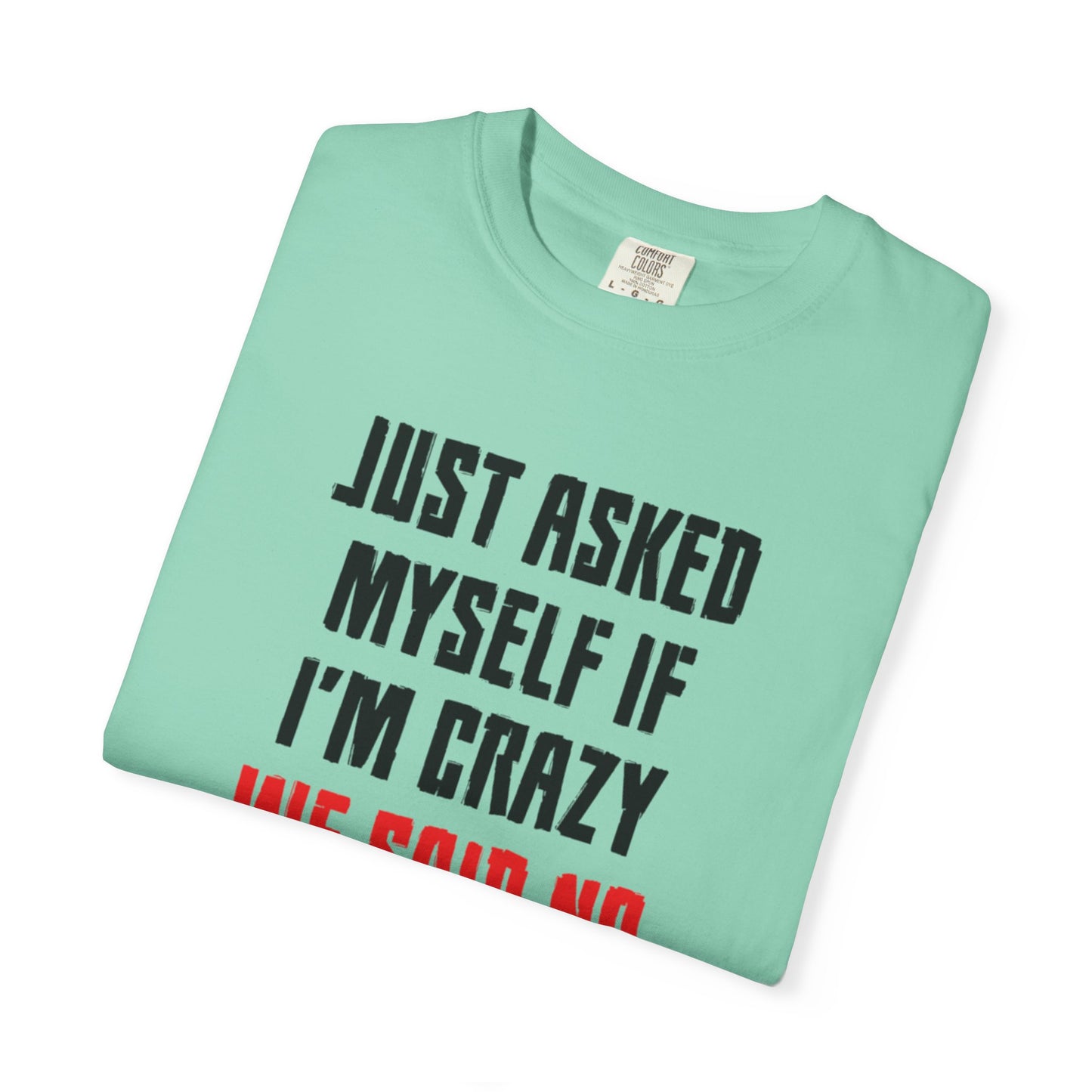 Just Asked Myself If I’M Crazy We Said No Funny Tee Self-Doubt Humourous Mental Stability Sarcastic Unisex Heavy Cotton T-Shirt