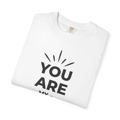 You Are My Sunshine Lovers Tee Hug Rainbow Passion Unconditional Soulful Connection Unisex Heavy Cotton T-Shirt