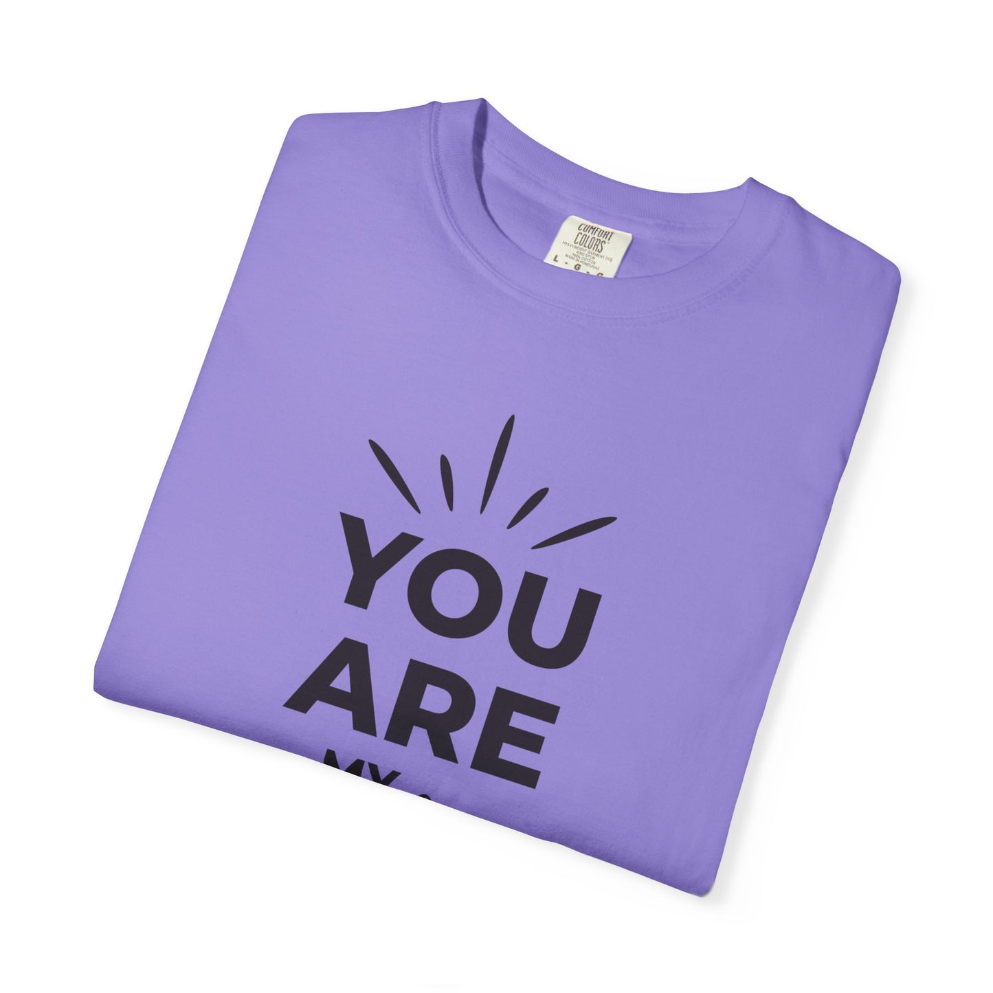 You Are My Sunshine Lovers Tee Hug Rainbow Passion Unconditional Soulful Connection Unisex Heavy Cotton T-Shirt