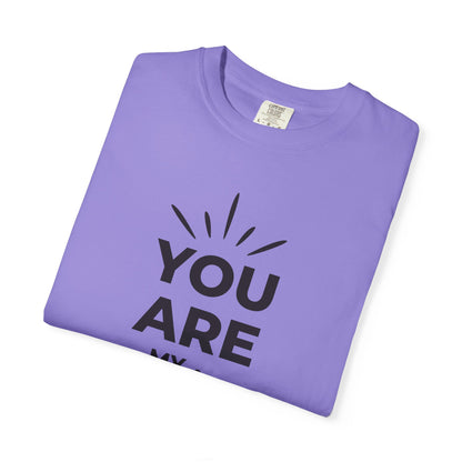 You Are My Sunshine Lovers Tee Hug Rainbow Passion Unconditional Soulful Connection Unisex Heavy Cotton T-Shirt