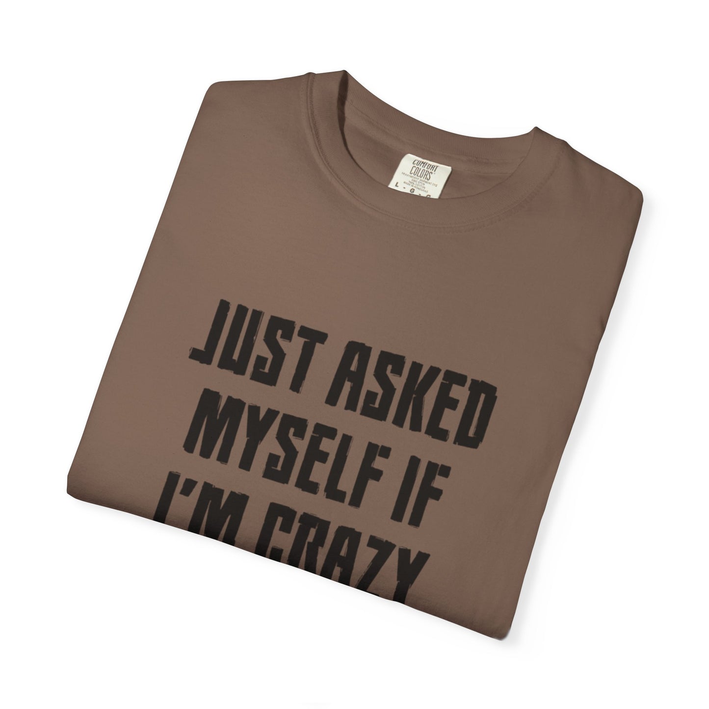 Just Asked Myself If I’M Crazy We Said No Funny Tee Self-Doubt Humourous Mental Stability Sarcastic Unisex Heavy Cotton T-Shirt