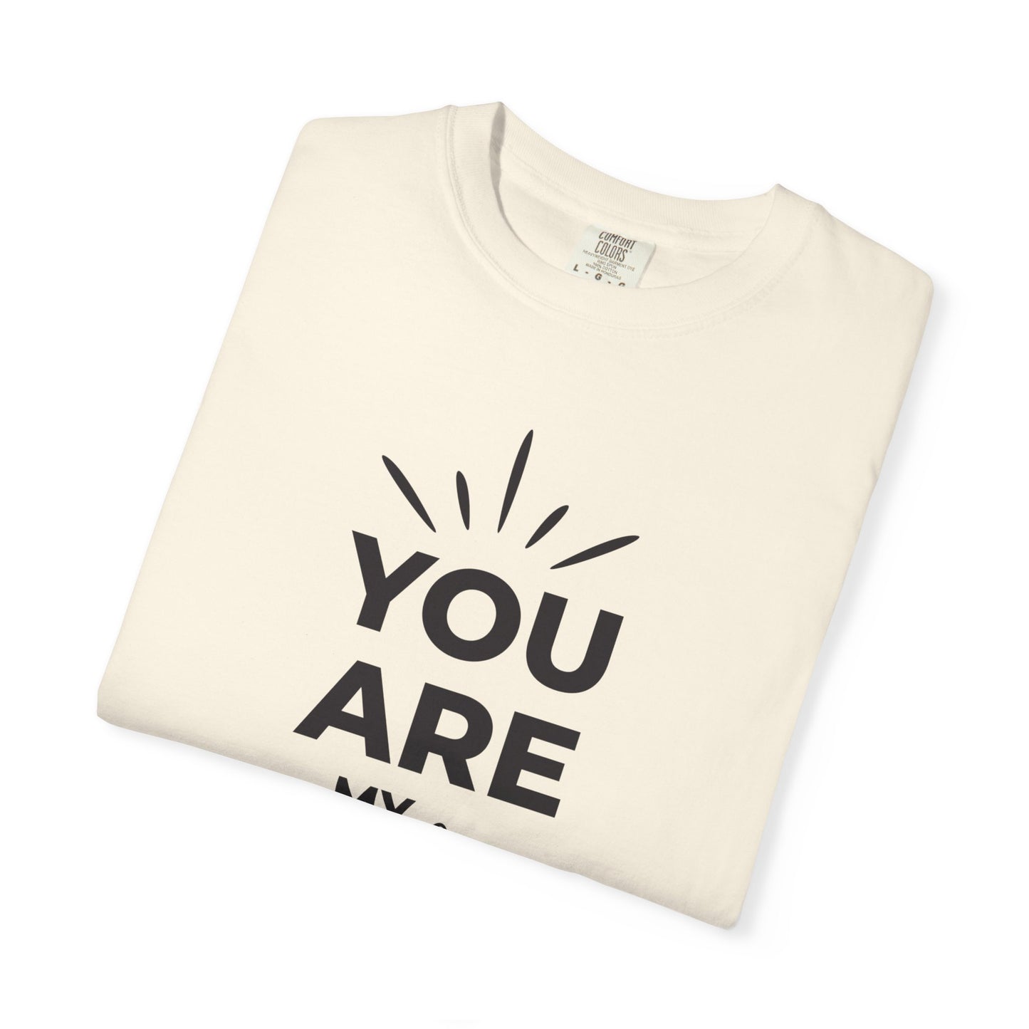 You Are My Sunshine Lovers Tee Hug Rainbow Passion Unconditional Soulful Connection Unisex Heavy Cotton T-Shirt