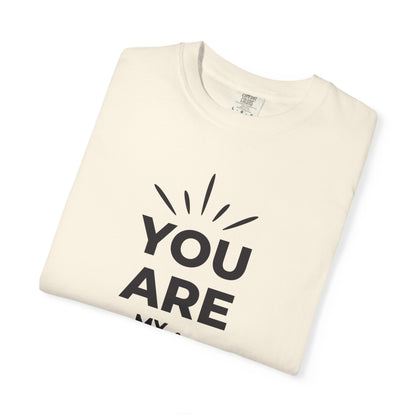You Are My Sunshine Lovers Tee Hug Rainbow Passion Unconditional Soulful Connection Unisex Heavy Cotton T-Shirt