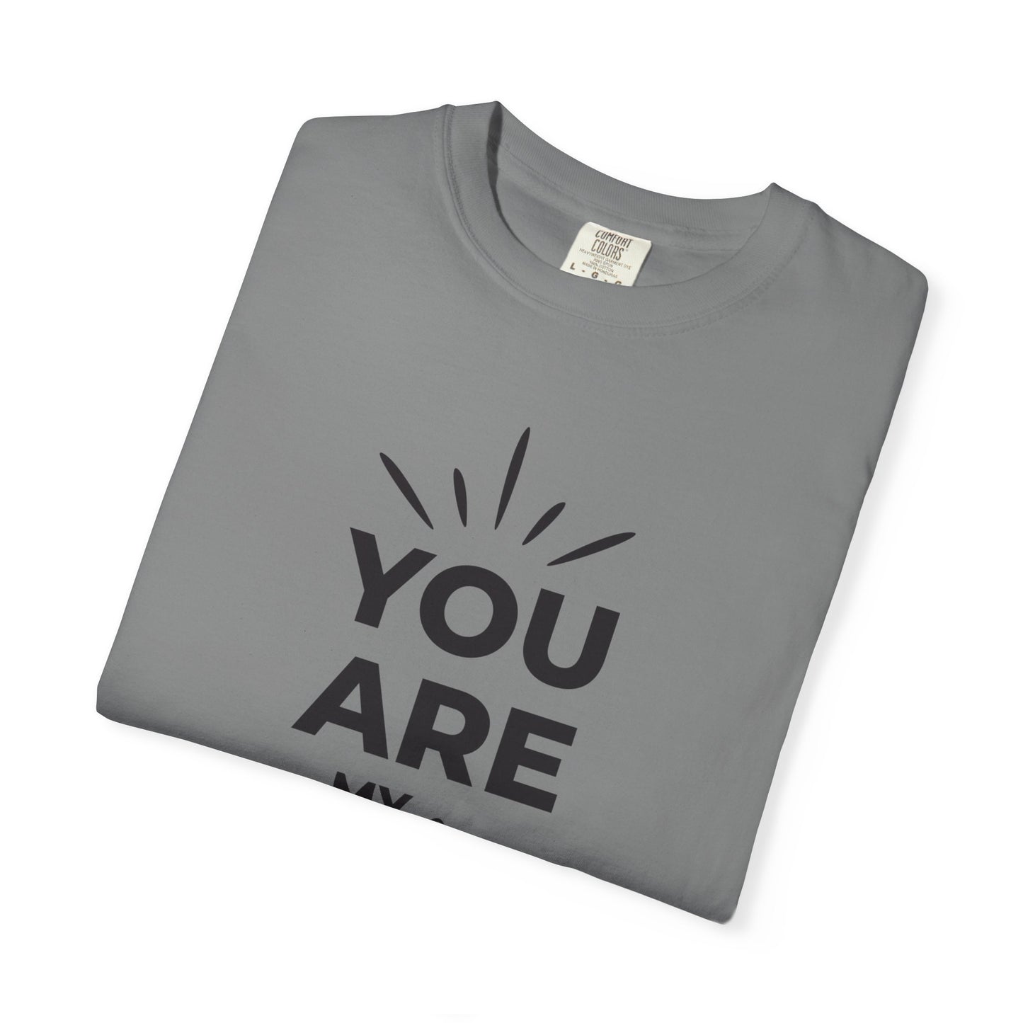 You Are My Sunshine Lovers Tee Hug Rainbow Passion Unconditional Soulful Connection Unisex Heavy Cotton T-Shirt