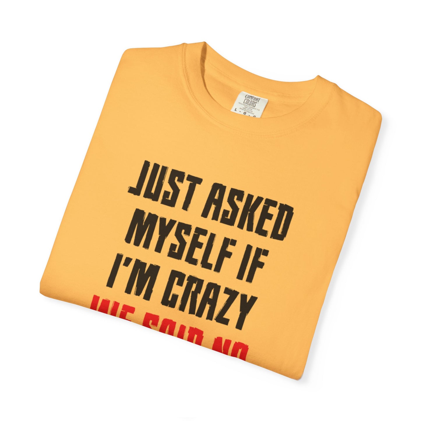 Just Asked Myself If I’M Crazy We Said No Funny Tee Self-Doubt Humourous Mental Stability Sarcastic Unisex Heavy Cotton T-Shirt