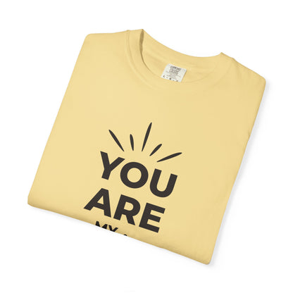You Are My Sunshine Lovers Tee Hug Rainbow Passion Unconditional Soulful Connection Unisex Heavy Cotton T-Shirt