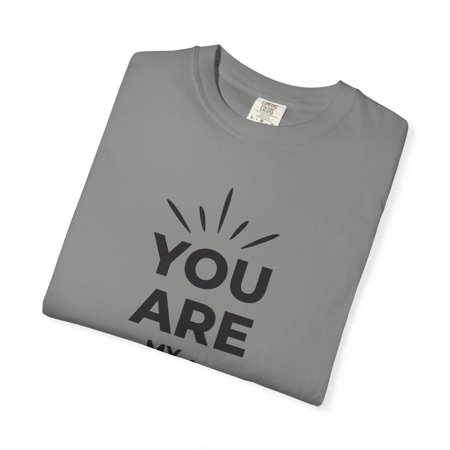 You Are My Sunshine Lovers Tee Hug Rainbow Passion Unconditional Soulful Connection Unisex Heavy Cotton T-Shirt