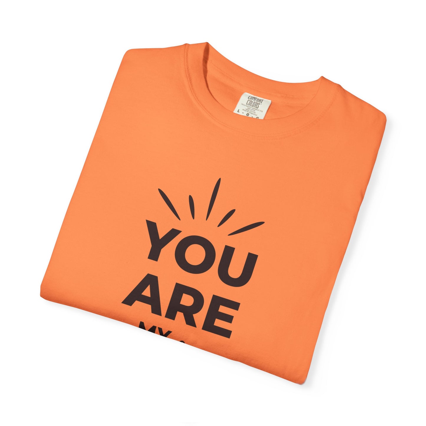 You Are My Sunshine Lovers Tee Hug Rainbow Passion Unconditional Soulful Connection Unisex Heavy Cotton T-Shirt