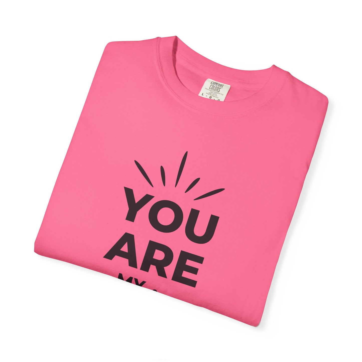 You Are My Sunshine Lovers Tee Hug Rainbow Passion Unconditional Soulful Connection Unisex Heavy Cotton T-Shirt