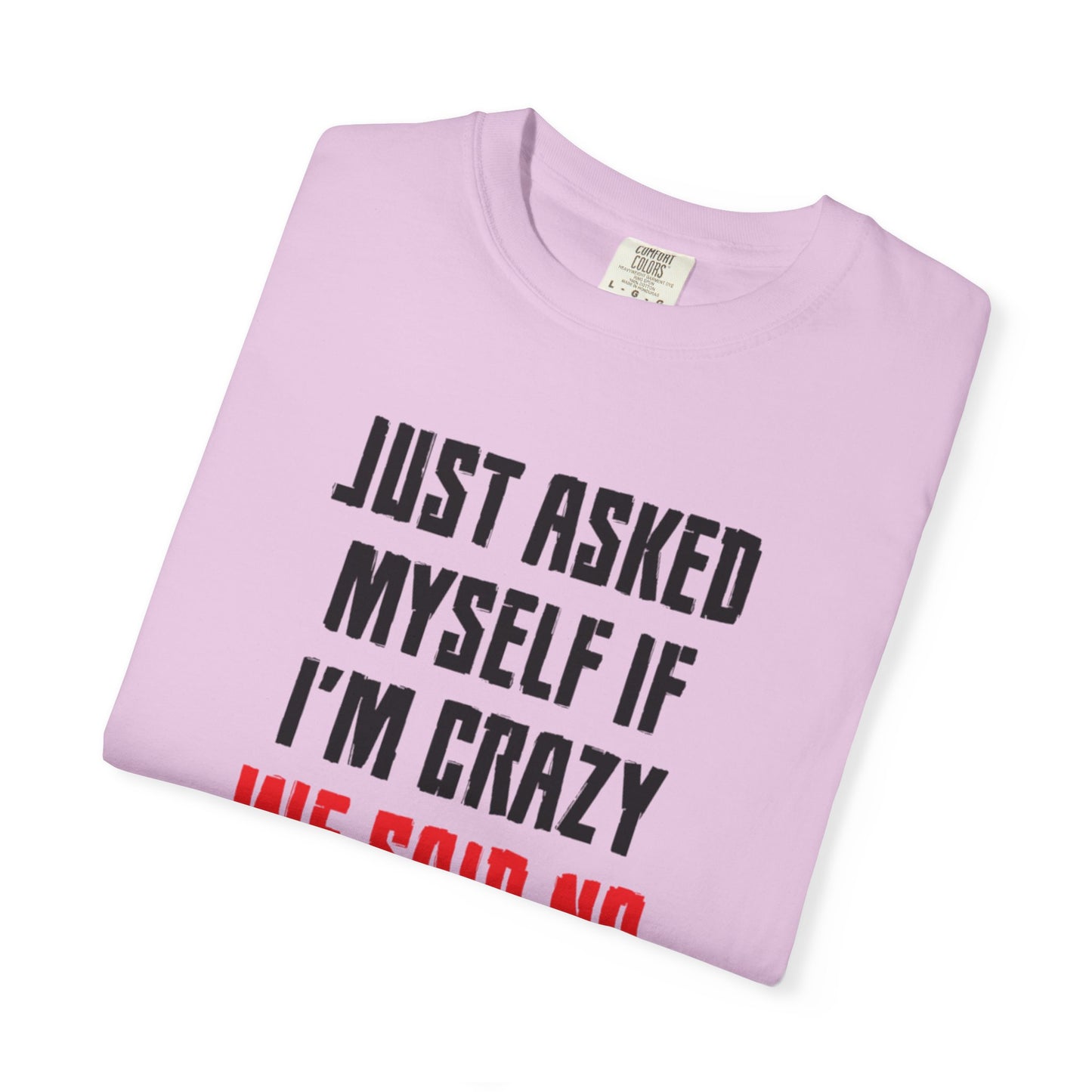Just Asked Myself If I’M Crazy We Said No Funny Tee Self-Doubt Humourous Mental Stability Sarcastic Unisex Heavy Cotton T-Shirt